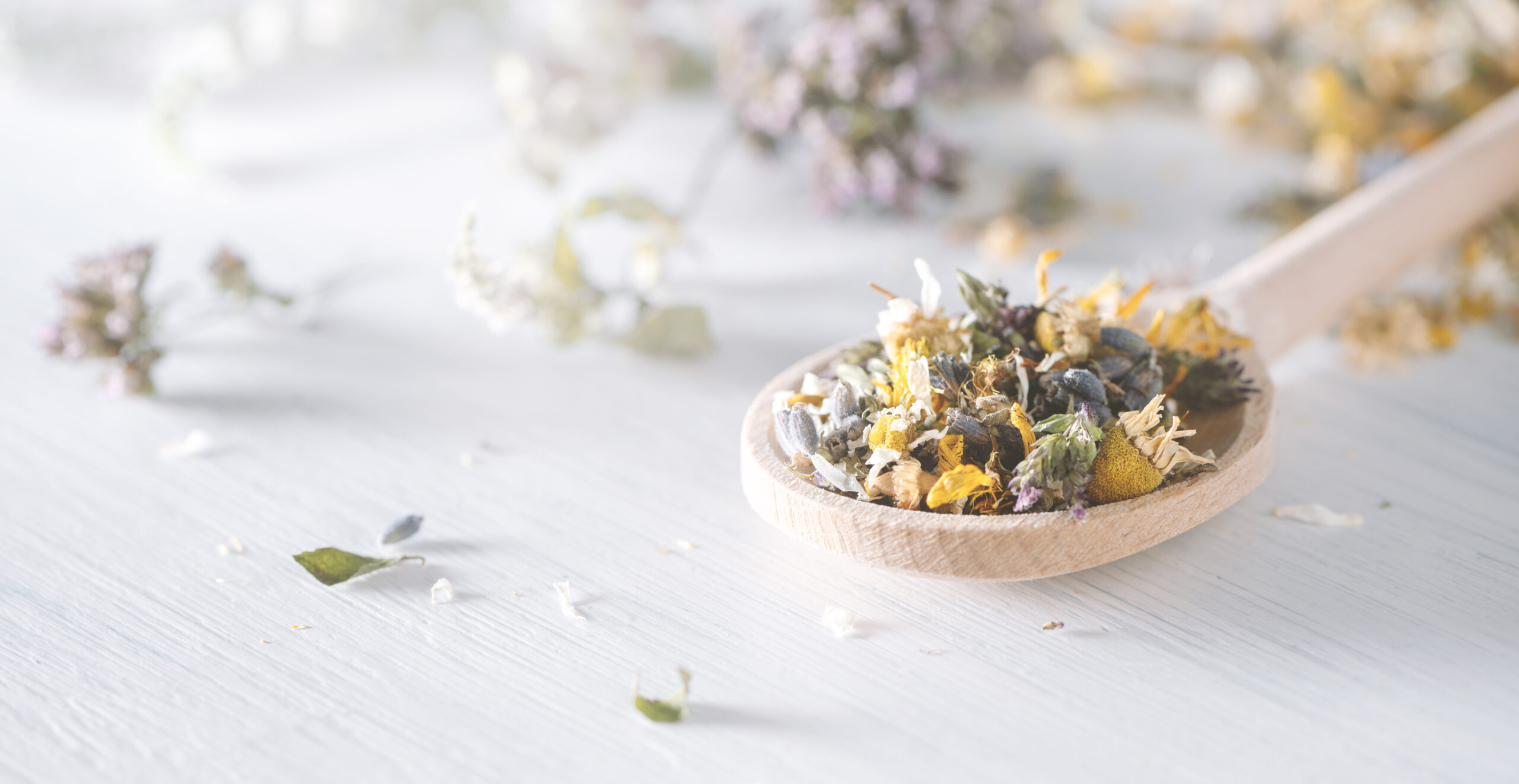 Mix of dried medical herbs and blooms on a wooden spoon. Homeopathy concept Mix of dried medical herbs and blooms on a wooden spoon. Homeopathy concept